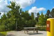 A gravel sitting area with a wooden picnic table and a cast-iron fire circle. Some trees and bushes are giving partial shade and some privacy.