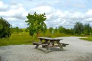 A wooden picnic table in the foreground with some trees and low growing vegetation around the site.