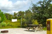 A gravel sitting area with a cast-iron fire circle and a wooden picnic table with vegetation in the background.