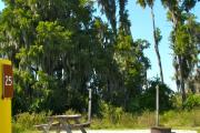 A gravel sitting area with a wooden picnic table, a cast-iron fire circle, and a wooded backdrop.