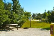 A gravel sitting area with a wooden picnic table and a cast-iron fire circle. A few trees and bushes are giving some privacy between the sites.