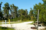 A cast-iron fire circle and a picnic table in the foreground with the neighboring campsite across the road.