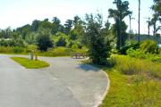 A 40 feet long gravel pull through campsite with vegetation giving some privacy to the right. The sitting area is also to the right and has a wooden picnic table and a cast-iron fire circle. Water and electric hook-ups are on the left hand side of the site. Dixie Lake can be seen through the trees.