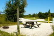 A fire circle and a picnic table in the foreground with the neighboring campsite across the road.
