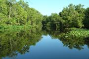 View of Little Manatee River from the point.