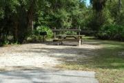 Looking into campsite from campground road; fire ring and picnic table are in the rear of site; site partially shaded in afternoon; water and electrical hook up on the right
