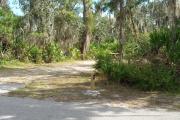 Looking at campsite marker #6; site is mostly sunny in afternoon; site is mixture of grass and sand