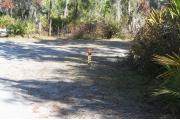 Photo: 008, LMR1