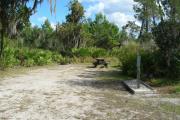 Looking into site from campground road; site mostly sunny in afternoon; picnic table, water spigot, and electrical on right; fire ring on left