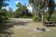 Looking out of site toward campground road; fire ring and picnic table on right; water spigot and electrical on left; site mixture of grass and sand, partially shaded