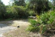 Looking at campsite marker #18; site mostly sunny in afternoon
