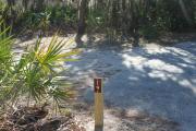 Looking at campsite marker #19;site mostly sunny in afternoon
