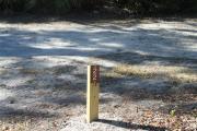 Looking at campsite marker #22, site mostly shaded in morning