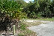 Looking at campsite marker #24; site mostly sunny in afternoon
