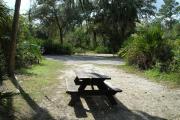 Looking out of site toward campground road; fire ring and picnic table on left; water spigot and electrical on left; site mixture of grass and sand, partially shaded