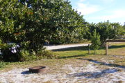 A look from inside the site outward