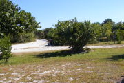 A look from inside the site outward
