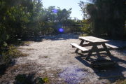 Looking into the site (Empty)