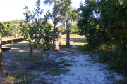 A Look from inside the site outward