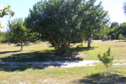 A look from inside the site outward
