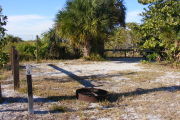 Looking into the site (Empty)