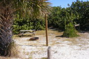 Looking into the site (Empty)