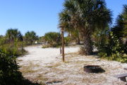 A look from inside the site outward