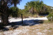 A look from inside the site outward