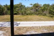 View from front porch