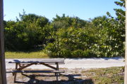 View from front porch