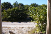 View from front porch