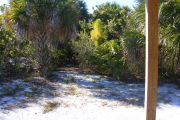 View from front porch