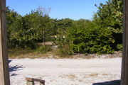View from front porch