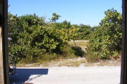 View from front porch