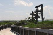 Sun shining on the boardwalks and observation tower at Big Lagoon State Park.