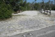 A view of the campsite with a shell/sand base and native vegetation.
