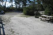 View from the rear of the campsite looking toward the road.