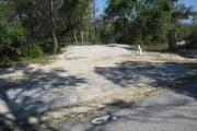 A view of the campsite with a shell/sand base and native vegetation.