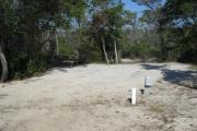 View of a picnic table and fire ring under the shade of native vegetation.