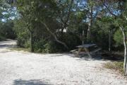 View from the rear of the campsite looking toward the road.