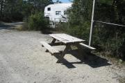 View from the rear of the campsite looking toward the road.