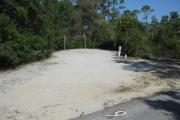 A view of the sunny campsite with a shell/sand base and native vegetation.