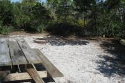 View of a picnic table, fire ring, and clothesline poles in partial shade.