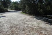 View from the rear of the campsite looking toward the road.