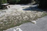 A view of the campsite with a shell/sand base and partial shade.