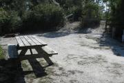 View of a picnic table, fire ring and fence in partial shade.