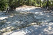 A view of the campsite with a shell/sand base and partial shade.