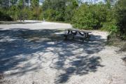 View from the rear of the campsite looking toward the road.