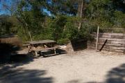View of a picnic table and clothesline in partial shade.