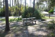 View of a picnic table and fire ring in partial shade.